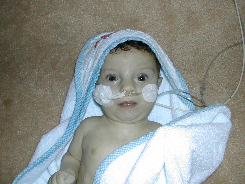 1002x745 pixels (291K)